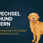 Fellwechsel beim Hund meistern: Unterwoll-Management für Golden Retriever, Schäferhund & Co. (2026)