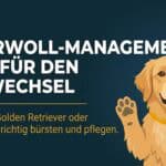 Golden Retriever Pflege: Das Double Coat richtig pflegen (Guide 2026)