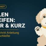 Krallenpflege beim Hund: Schnitt, Werkzeug & Psychologie (Guide 2026)