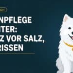 Pfotenpflege im Winter: Schutz vor Salz, Eis und schmerzhaften Rissen (2026)