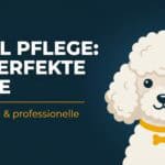 Pudel Pflege: Locken pflegen, Filz vermeiden, Schnitt-Stile (Guide 2026)