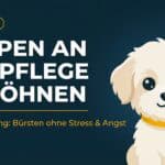 Welpen an Fellpflege gewöhnen: Der komplette Guide für stressfreie Pflegesessions (2026)