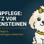 Augenpflege beim Hund: Tränensteine entfernen und Entzündungen vorbeugen (2026)
