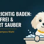 Hund richtig baden: Temperatur, Shampoo, Technik und Trocknen (Guide 2026)