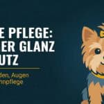 Yorkshire Terrier Pflege: Seidenhaar, Zahnpflege und Top-Knot (Guide 2026)