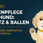 Pfotenpflege beim Hund: Anatomie, Ballenschutz und Krallen-Check (2026)