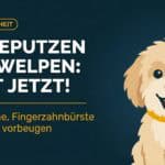 Zähneputzen beim Welpen: Spielerische Gewöhnung und Schutz vor Zahnstein (2026)