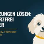 Filz-Notfall beim Hund: Retten oder Scheren? Die Entscheidung richtig treffen (2026)