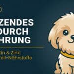 Glänzendes Fell beim Hund: Die Biologie der Hautgesundheit und was wirklich hilft (2026)