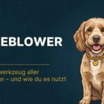 Hundeblower: Das Geheimwerkzeug aller Profi-Groomer – und wie du es nutzt (2026)