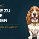 Hunde zu Hause pflegen: Profi-Ergebnisse im eigenen Wohnzimmer (Guide 2026)