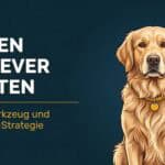 Golden Retriever bürsten: Technik, Werkzeug und Fellwechsel-Strategie (2026)