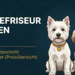 Hundefriseur Kosten 2026: Was ein Hundeschnitt wirklich kostet (Preisübersicht)