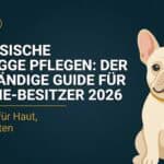 Französische Bulldogge pflegen: Falten, Atemwege und die tägliche Routine (2026)