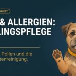 Hund Allergie Frühling: Grasmilben, Pollen und die tägliche Pfotenreinigung (2026)