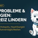 Hautprobleme beim Hund: Juckreiz, Hotspots und Futtermittelunverträglichkeit erkennen (2026)