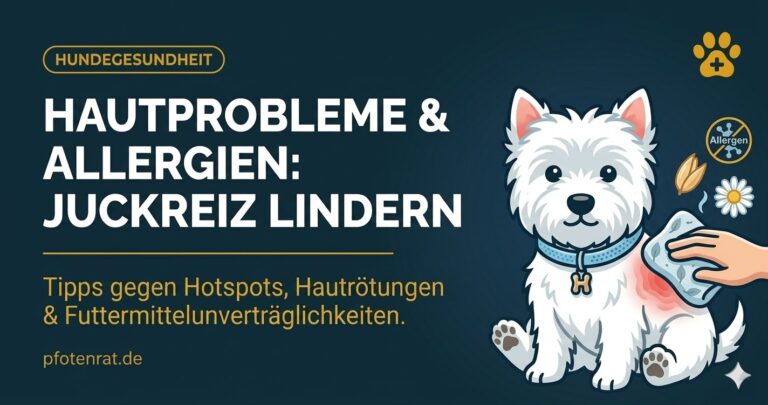 Hautprobleme beim Hund