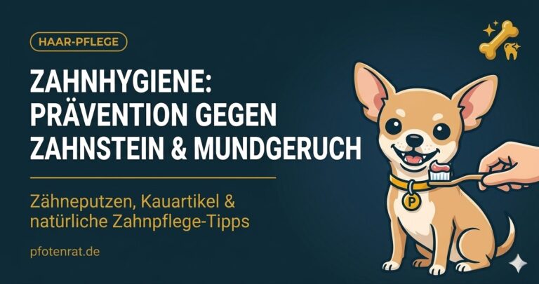 Zahnhygiene beim Hund