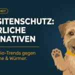 Natürlicher Zeckenschutz Hund: Was wirklich wirkt – und was Mythos ist (2026)