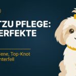 Shih Tzu Pflege: Der perfekte Look für den kleinen Löwen (2026)