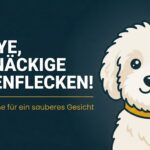 Tränenflecken beim Hund: Ursachen, entfernen und dauerhaft verhindern (2026)