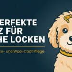 Locken Fell Glanz beim Hund: Der perfekte Look für Doodles und Pudel (2026)