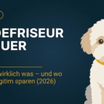 Hundefriseur zu teuer: Was kostet wirklich was – und wo kannst du legitim sparen (2026)