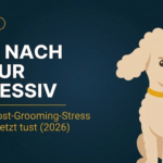 Hund nach Friseur aggressiv: Ursachen, Post-Grooming-Stress und was du jetzt tust (2026)