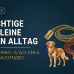 Die richtige Hundeleine für den Alltag: Länge, Material & welches Geschirr dazu passt (2026)