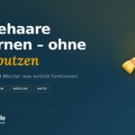 Hundehaare entfernen: Wohnung, Auto und Wäsche (2026)