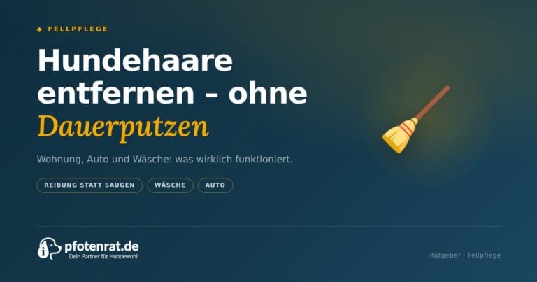 Hundehaare entfernen: Wohnung, Auto und Wäsche (2026)