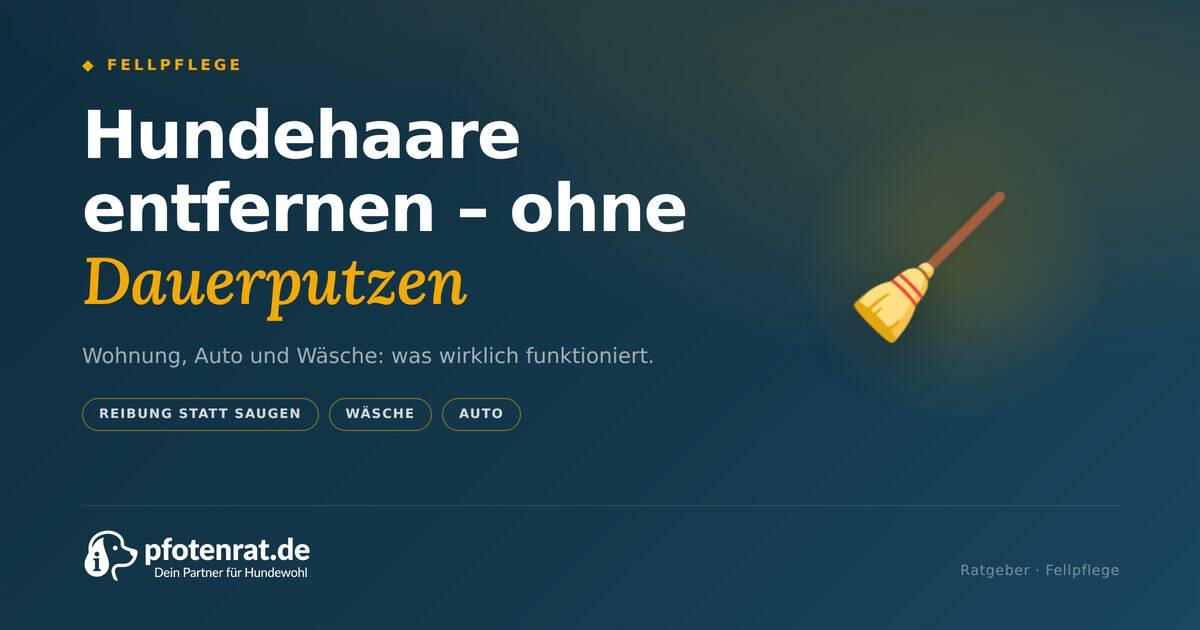 T 01 hundehaare
