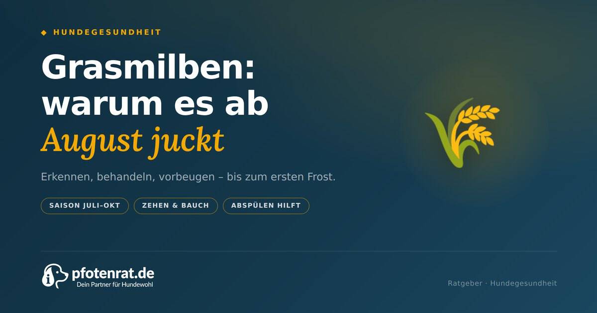 T 05 grasmilben