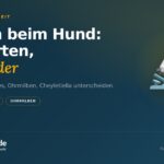 Milben beim Hund erkennen: Demodex, Sarkoptes, Ohrmilben (2026)