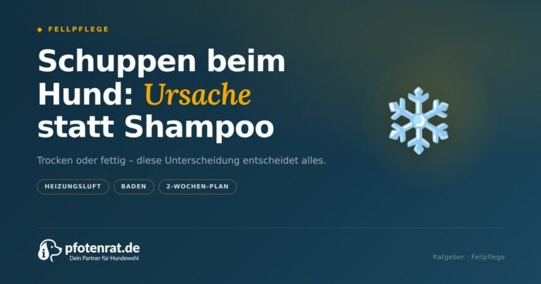 Schuppen beim Hund: Ursachen finden statt Symptome bekämpfen (2026)