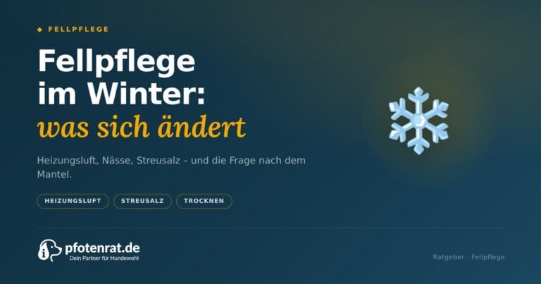 Fellpflege im Winter: Was sich jetzt ändert
