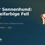 Berner Sennenhund: Das dreifarbige Fell im Griff