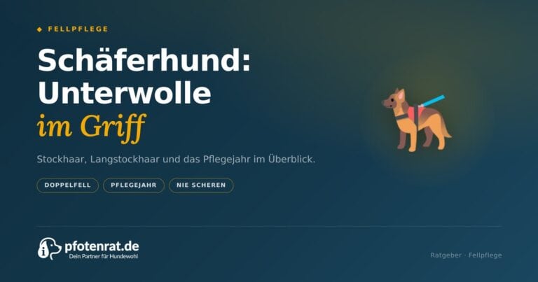 Deutscher Schäferhund: Unterwolle im Griff behalten (2026)