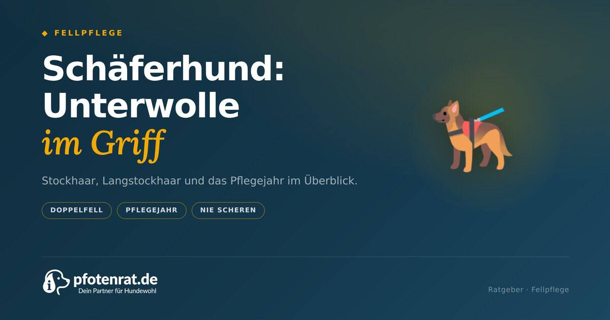 T 21 schaeferhund
