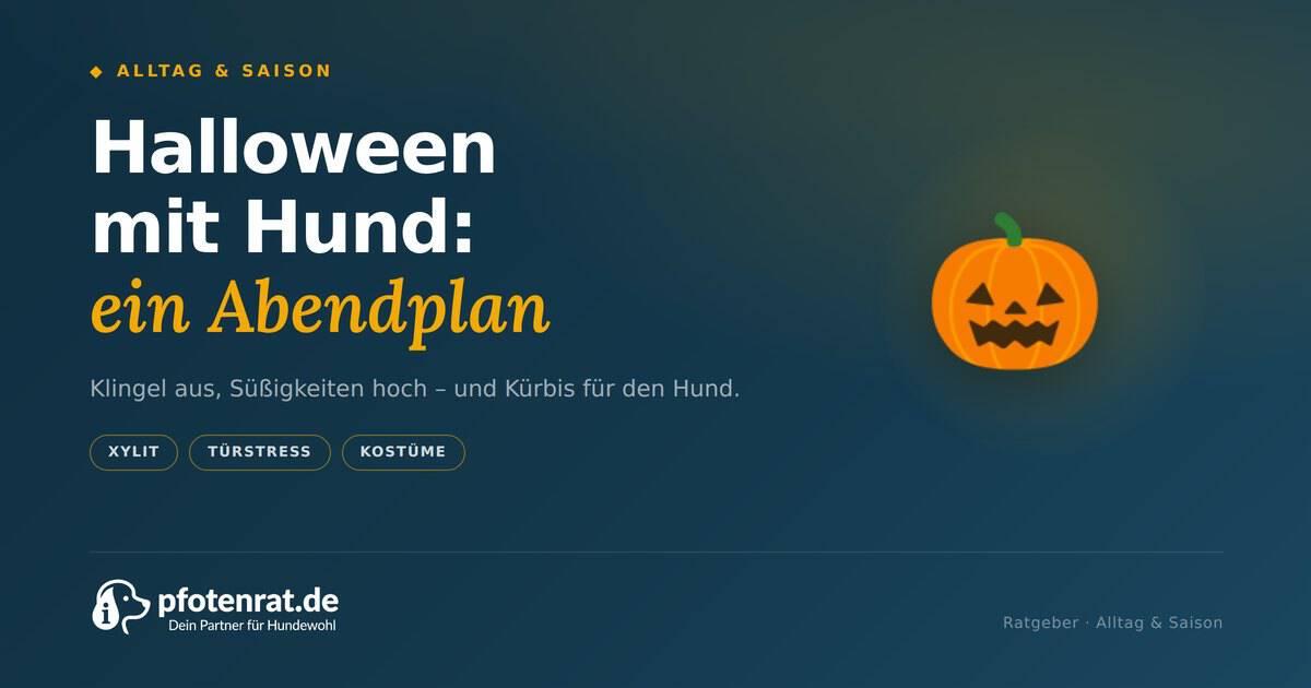 T 27 halloween