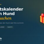 Adventskalender für den Hund selber machen: Anleitung und Füllideen