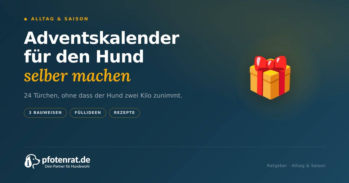 T 28 adventskalender