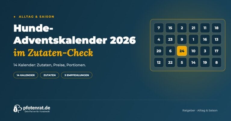 Hunde-Adventskalender 2026 im Zutaten-Check