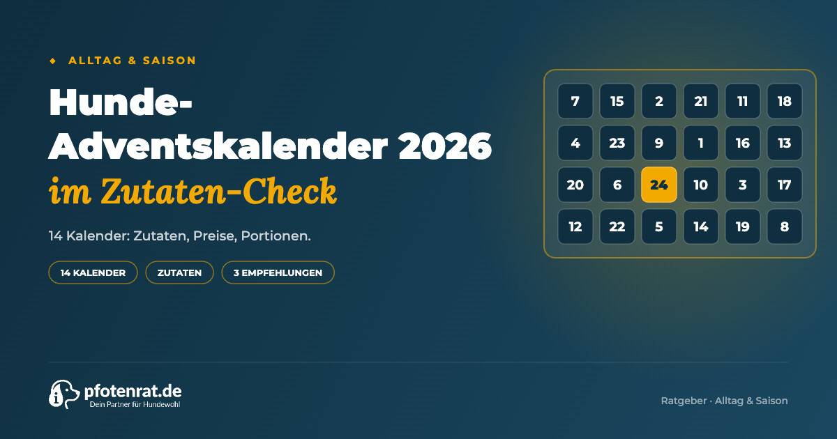 Hunde-Adventskalender 2026 im Zutaten-Check